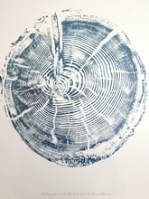 Load image into Gallery viewer, Gravure d'Art - Mélèze, Nice