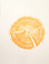 Charger l'image dans la galerie, Gravure d'Art - Branche de Mélèze, Nice