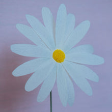 Load image into Gallery viewer, Marguerite de la collection Les fleurs de Justine - Aix en provence