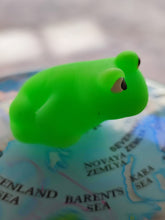 Load image into Gallery viewer, CHOUPIES