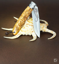 Charger l'image dans la galerie, Couteau - Octopus - Olivier