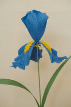 Charger l'image dans la galerie, Iris - Les fleurs de Justine