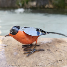 Charger l'image dans la galerie, Bouvreuil