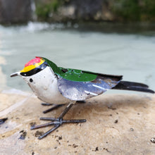 Charger l'image dans la galerie, Roitelet en envol
