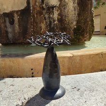 Charger l'image dans la galerie, Baobab bombé noir