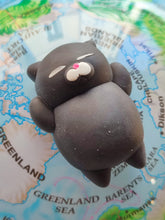 Load image into Gallery viewer, CHOUPIES