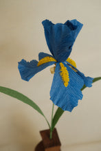 Charger l'image dans la galerie, Iris - Les fleurs de Justine