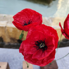 Load image into Gallery viewer, Coquelicots - Les fleurs de Justine