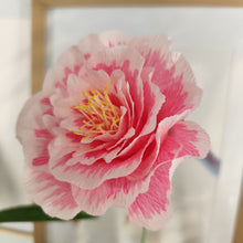 Load image into Gallery viewer, Pivoines - Les fleurs de Justine