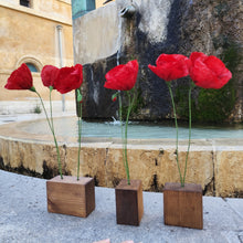 Load image into Gallery viewer, Coquelicots - Les fleurs de Justine