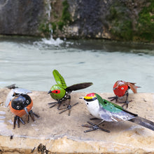 Charger l'image dans la galerie, Roitelet en envol