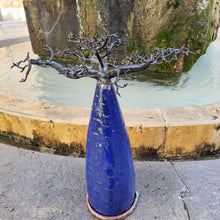 Load image into Gallery viewer, Baobab brut bleu