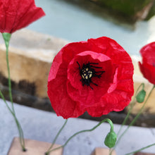 Load image into Gallery viewer, Coquelicots - Les fleurs de Justine