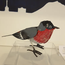 Charger l'image dans la galerie, Bouvreuil