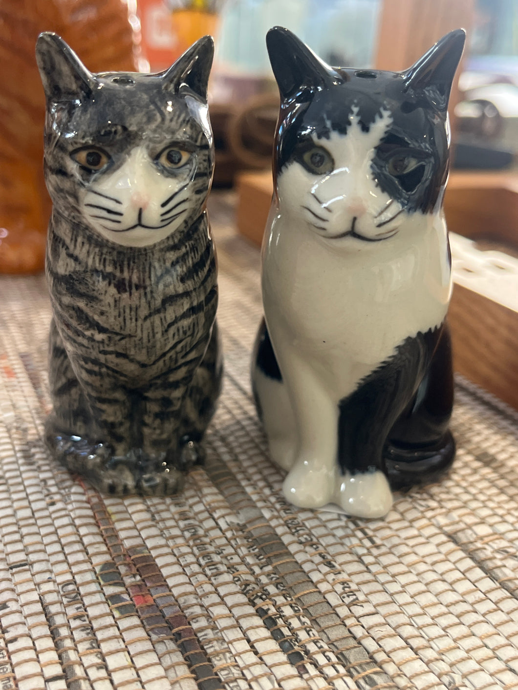 Salière et poivrière chat