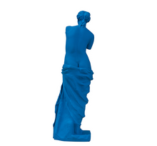 Load image into Gallery viewer, Aphrodite, venus de Milo édition POP
