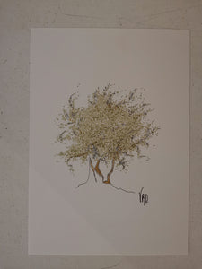 L'olivier by Véronique Lecoq