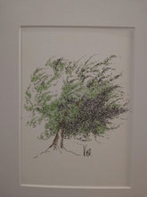 Charger l&#39;image dans la galerie, L&#39;olivier au vent by Véronique Lecoq
