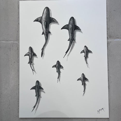 affiche requins artyana aix-en-provence