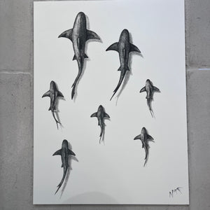 affiche requins artyana aix-en-provence