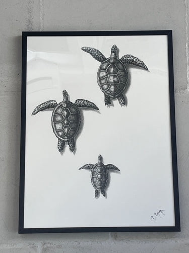 affiche tortues artyana aix-en-provence