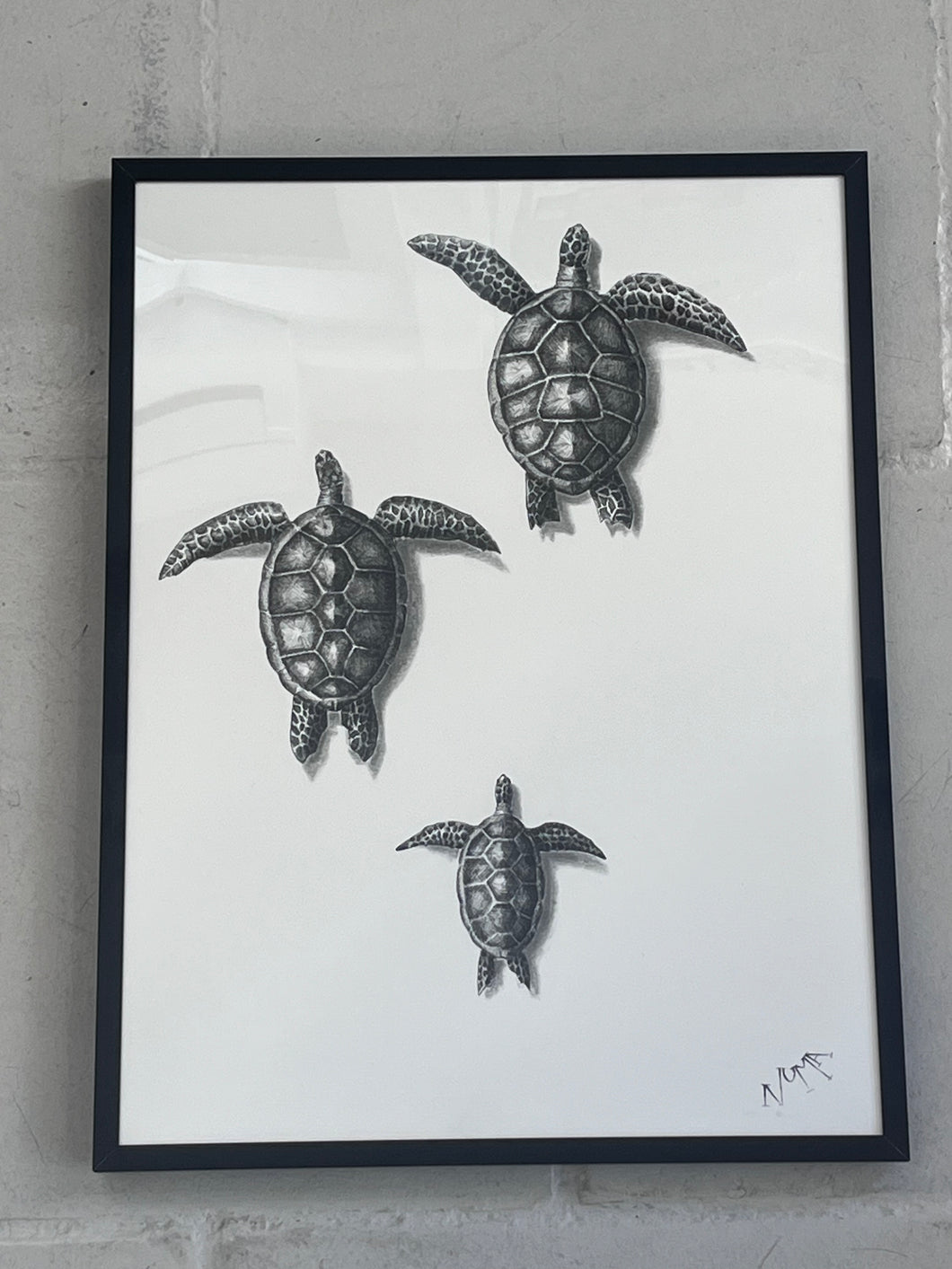 affiche tortues artyana aix-en-provence