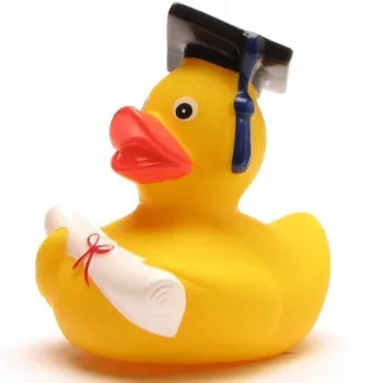 canard plastique diplome aix artyana