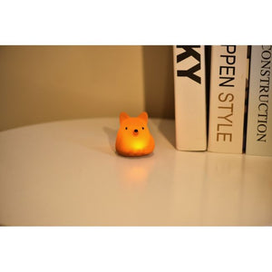 Mini veilleuses Animaux