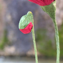 Load image into Gallery viewer, Coquelicots - Les fleurs de Justine
