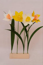 Load image into Gallery viewer, Jonquilles - Les fleurs de Justine
