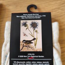 Load image into Gallery viewer, Chaussettes Blue safflower, Carthamus caeruleus
