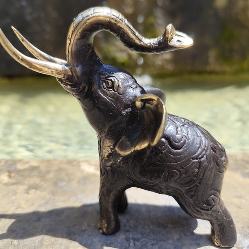 Elephant bronze artyana Aix en Provence 