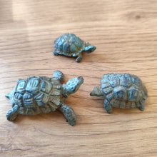 Load image into Gallery viewer, Tortues bronze
