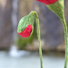 Load image into Gallery viewer, Coquelicots - Les fleurs de Justine
