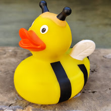 Charger l'image dans la galerie, Canard Abeille
