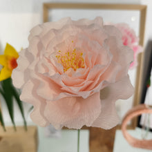 Load image into Gallery viewer, Pivoines - Les fleurs de Justine
