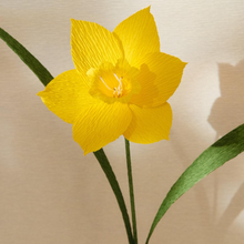Load image into Gallery viewer, Jonquilles - Les fleurs de Justine
