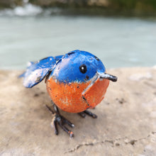 Load image into Gallery viewer, Merle bleu
