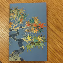 Load image into Gallery viewer, Carnet d&#39;adresses et de mots de passe
