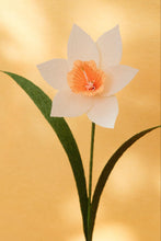 Load image into Gallery viewer, Jonquilles - Les fleurs de Justine
