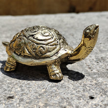Charger l&#39;image dans la galerie, Tortue bronze artyana Aix en Provence 
