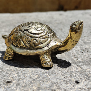 Tortue bronze artyana Aix en Provence 