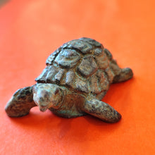 Load image into Gallery viewer, Tortues bronze
