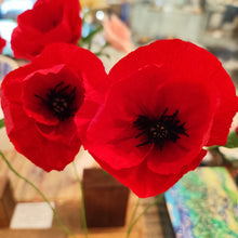 Load image into Gallery viewer, Coquelicots - Les fleurs de Justine
