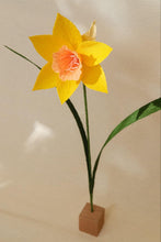 Load image into Gallery viewer, Jonquilles - Les fleurs de Justine
