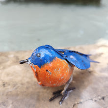 Load image into Gallery viewer, Merle bleu
