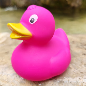 Canard Rose framboise