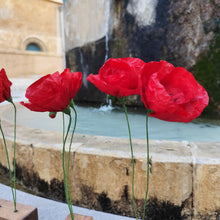 Load image into Gallery viewer, Coquelicots - Les fleurs de Justine

