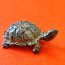 Load image into Gallery viewer, Tortues bronze
