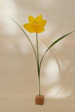 Load image into Gallery viewer, Jonquilles - Les fleurs de Justine
